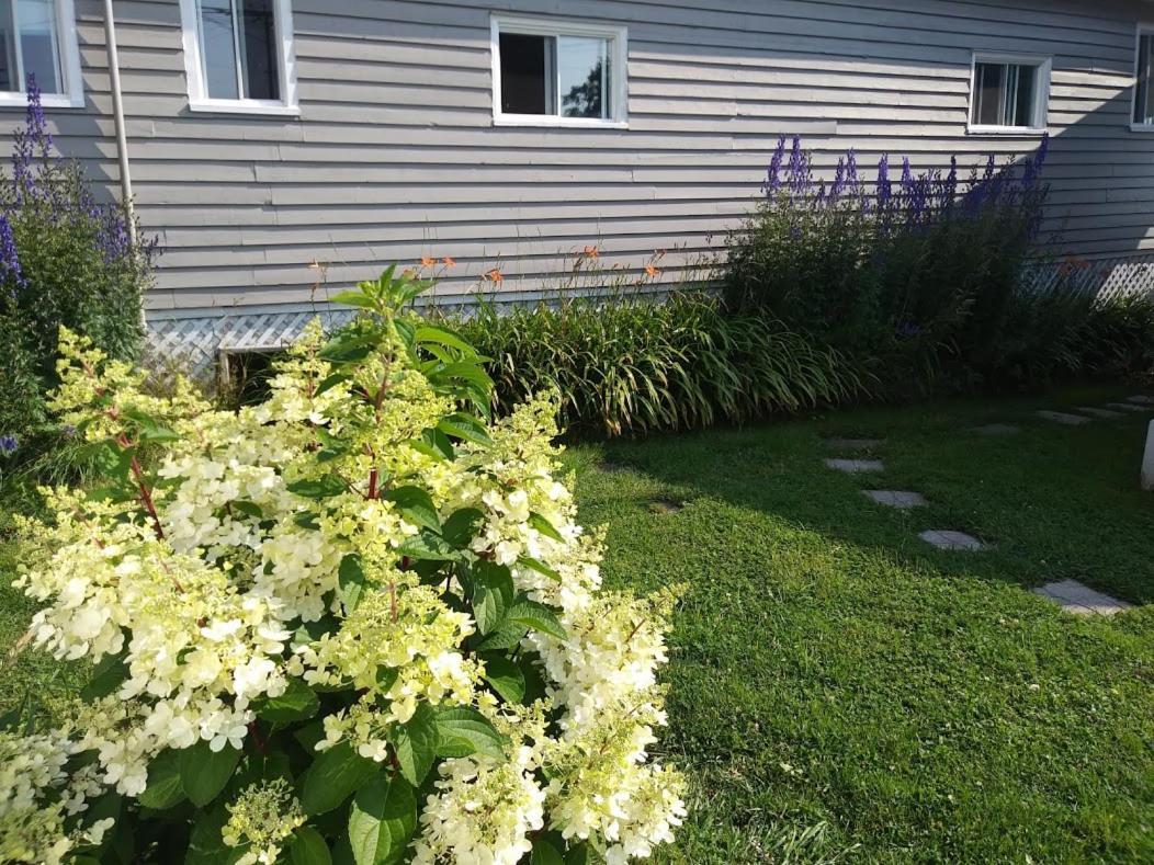 Hôtel-Motel Rocher Percé Extérieur photo
